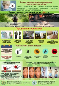 Хачигт энцефалитийн халдвараас урьдчилан сэргийлье?