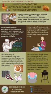 Шувууны томуу өвчнөөс сэргийлье?