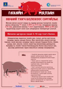 ГАХАЙН МЯЛЗАН ӨЧНӨӨС СЭРГИЙЛЬЕ !