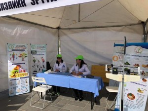 ЗАСГИЙН ГАЗРЫН БҮТЭЭН БАЙГУУЛАЛТ – ЭРҮҮЛ МЭНДИЙН САЛБАР ҮЗЭСГЭЛЭН